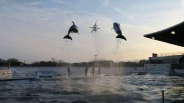 ランド ビュー / 10