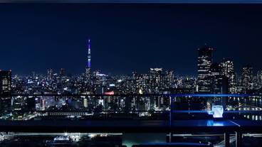 メズム東京、オートグラフ コレクション（メズムトウキョウ、オートグラフ コレクション） / 9