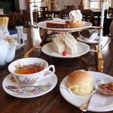 ヴィクトリアンローズ（ヴィクトリアンローズ）