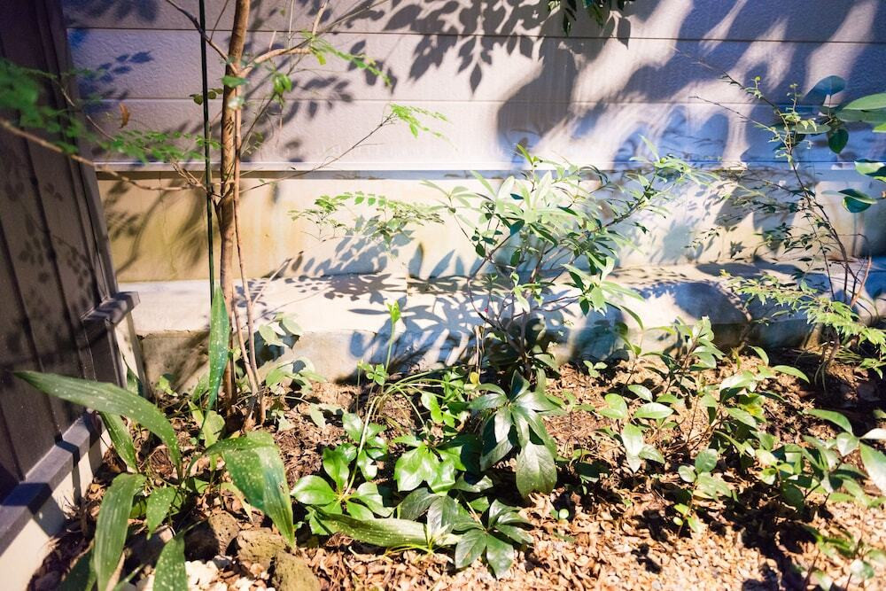 施設からの眺望