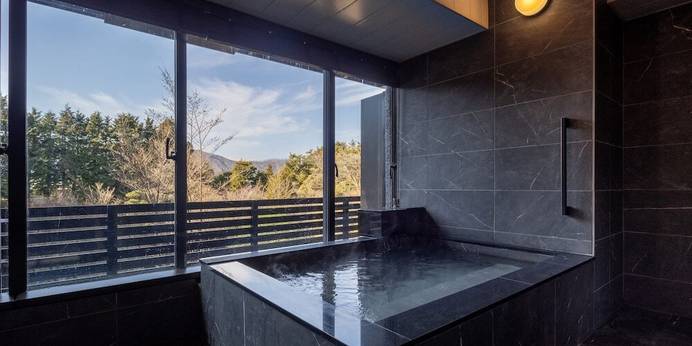 仙石原古今(神奈川県 リゾートホテル) / 1