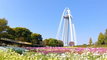 観光スポット / 6