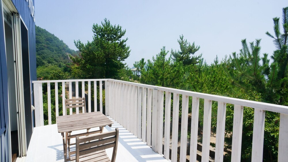 テラス / パティオ