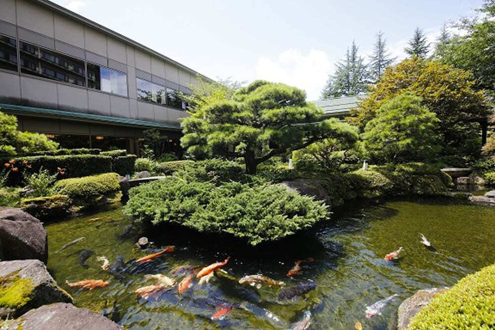 体験メニューが楽しい！温泉自慢の便利なホテル3479562