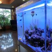 高山シティホテルフォーシーズン(岐阜県 シティホテル) / 3