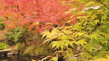 施設の敷地 / 17