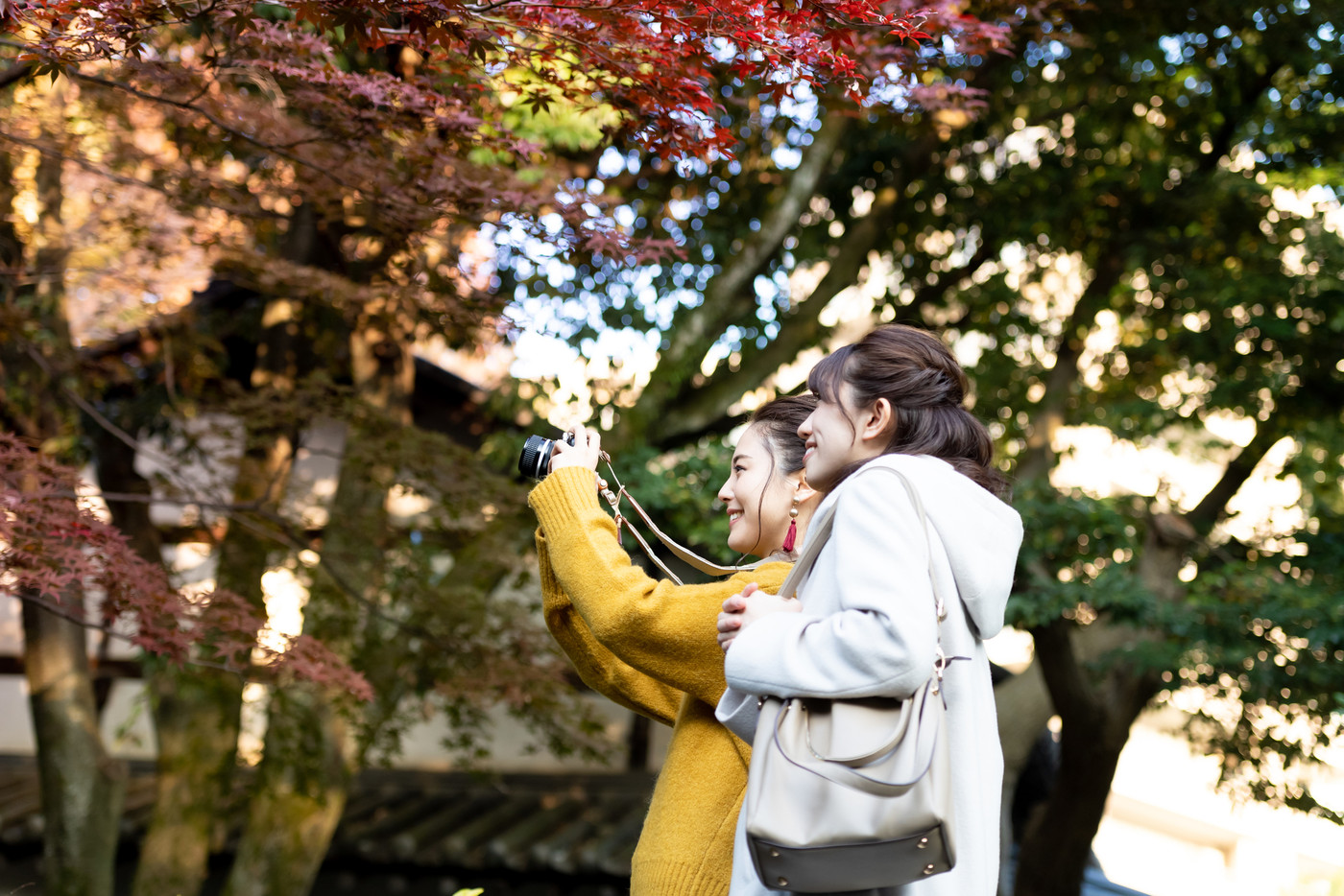 若い女性、女子旅、観光