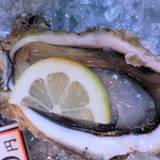 越前がに やまに水産（エチゼンガニヤマニスイサン）