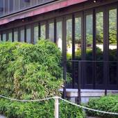 ホテルモントレ半蔵門(東京都 シティホテル) / 4