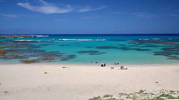 観光スポット / 4