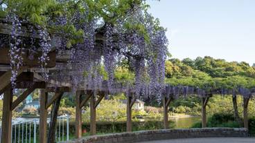 観光スポット / 10