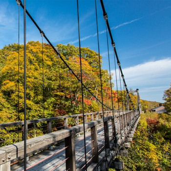 1.岩手網張温泉【岩手県】3640258
