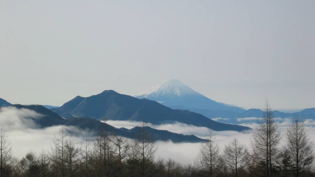 客室の眺望一例② / 4