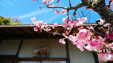 施設からの眺望 / 25