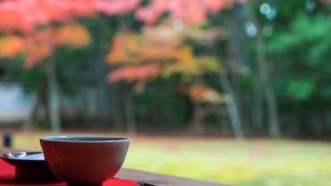 シティ ビュー / 19