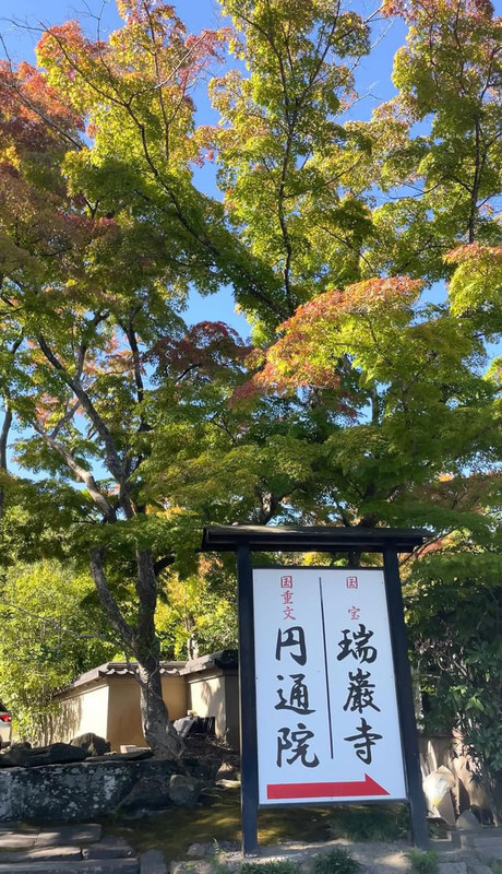 yuriho.710さんの写真 / 2