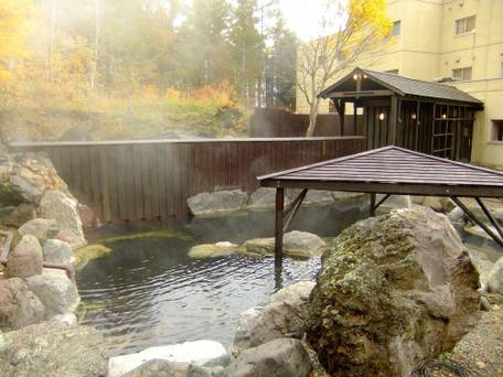 ニセコアンヌプリ温泉 湯心亭（ゆごころてい） / 4