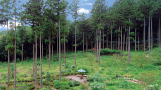 ベーシック ツインルーム シングルベッド 2 台