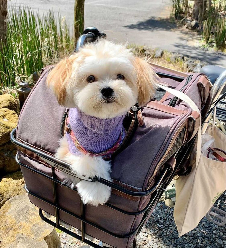 nicomaru1219さんの写真 / 1