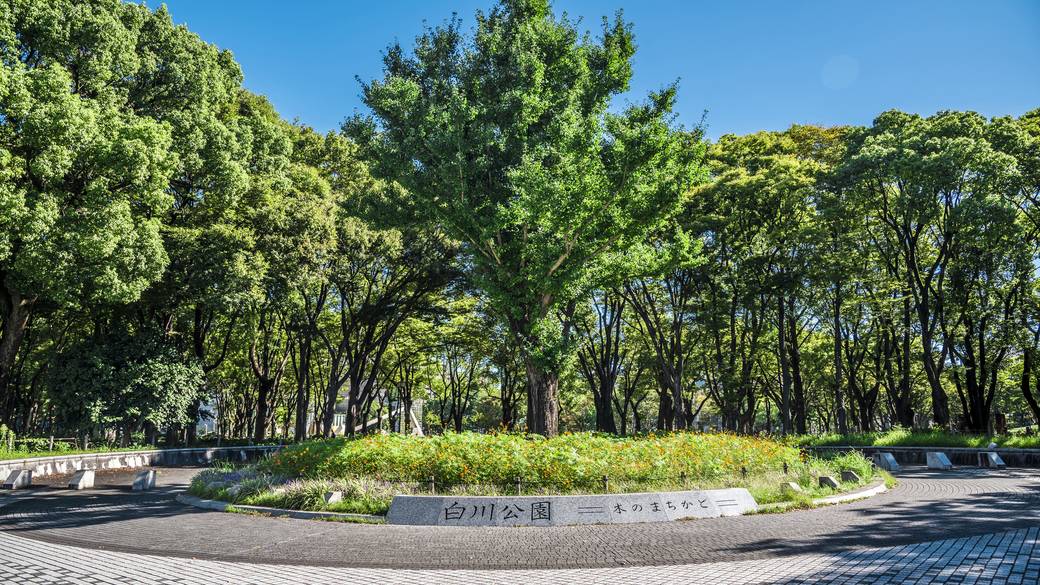 名古屋のオアシスで
のんびり朝のお散歩 / 1