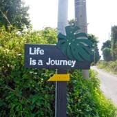 LIFE IS A JOURNEY(沖縄県 旅館) / 4
