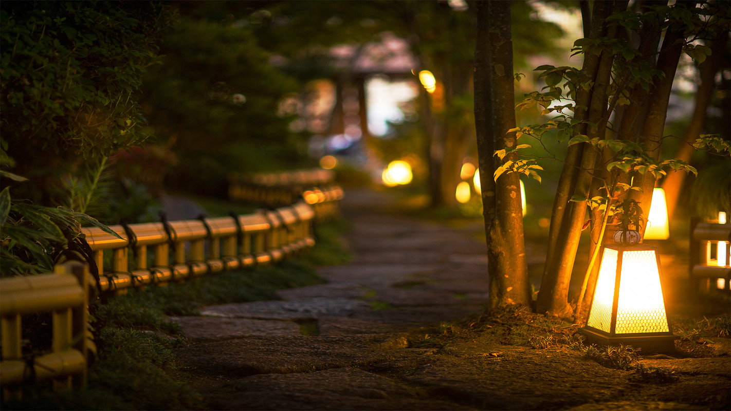 敷地内 夜の雰囲気