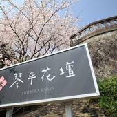 こんぴら温泉 琴平花壇（香川県 旅館） / 5