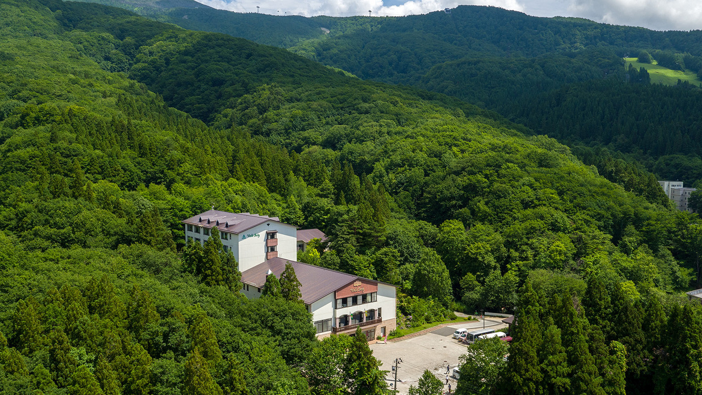 大自然の森に抱かれた温泉宿3654230