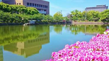 ランド ビュー / 38