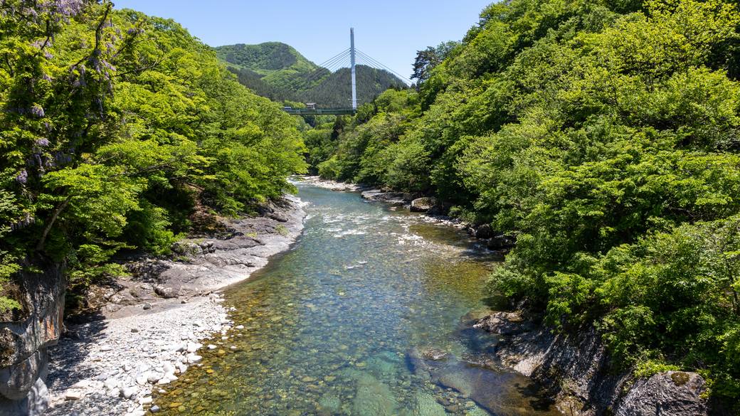 諏訪峡遊歩道からの眺め(夏) / 1