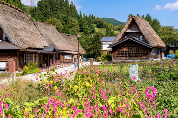 Gokayama Gassho-no-Sato, Ainokura Village