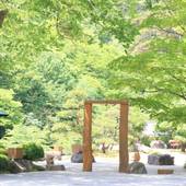 板室温泉 大黒屋（栃木県 旅館） / 3