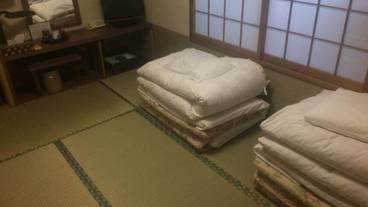 客室 / 6
