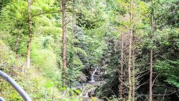 ランド ビュー / 13