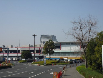 広大な敷地に名店が揃う「大阪市中央卸売市場内」1995773