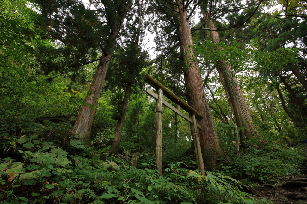 旅のスタートは、戸隠の一番奥　「戸隠神社奥社」39024