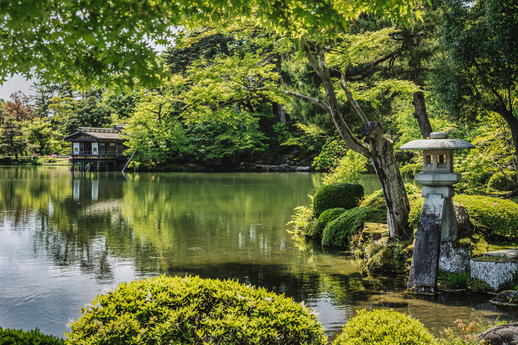 ◎美しい日本庭園「兼六園」3564396