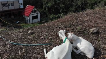施設の敷地 / 21