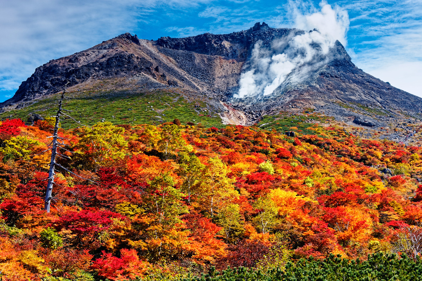 那須連峰・姥ヶ平の紅葉と噴煙上げる茶臼岳