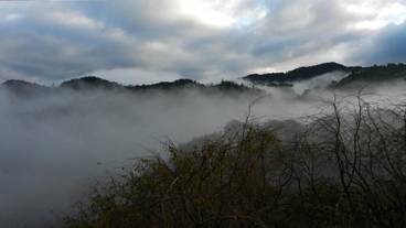 施設の敷地 / 20