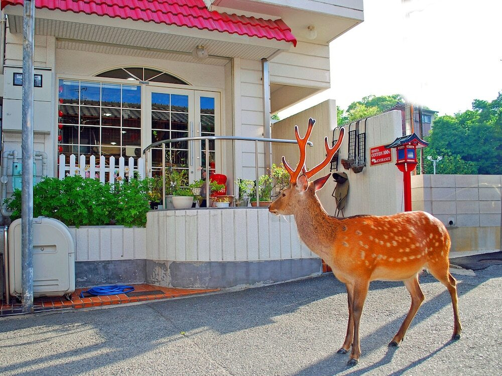 メイン イメージ