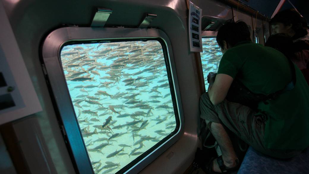 支笏湖 水中遊覧船 / 3