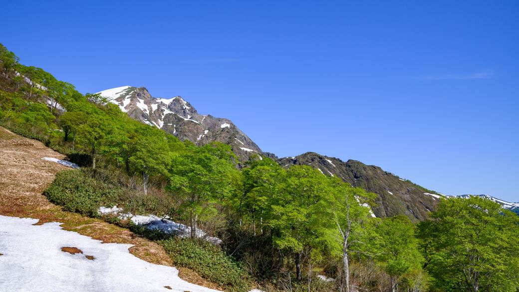 谷川岳（天神平） / 4
