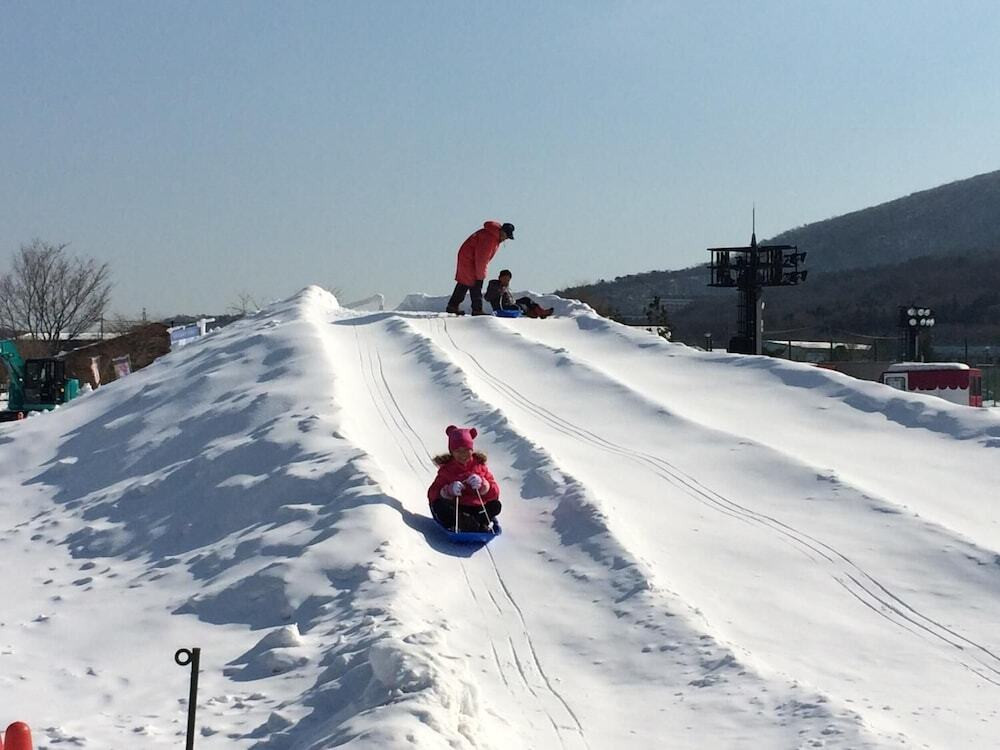 スノー スポーツとスキー