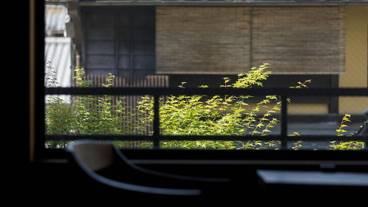 ストリート ビュー / 7