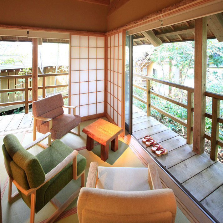 林をそよぐ ブナ