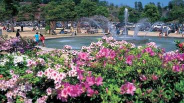 観光スポット / 6