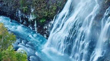 観光スポット / 7