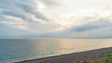 ランド ビュー / 31