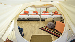 ハワイアンズ ラージテント（禁煙）